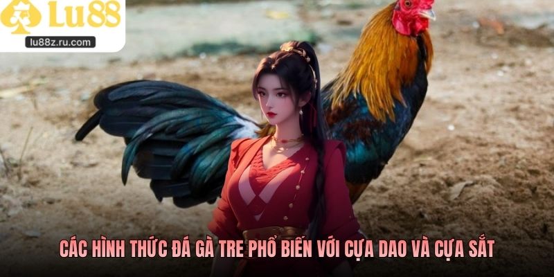 Các hình thức đá gà tre phổ biến với cựa dao và cựa sắt