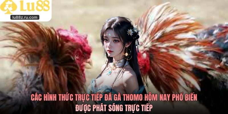 Các hình thức trực tiếp đá gà Thomo hôm nay phổ biến được phát sóng trực tiếp