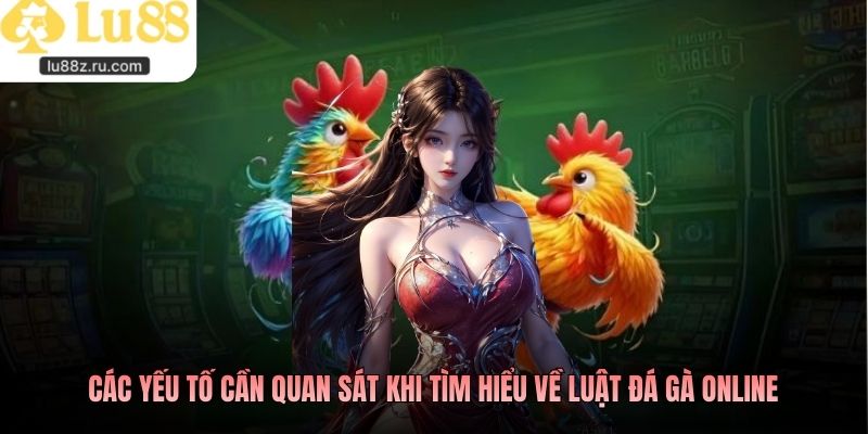 Các yếu tố cần quan sát khi tìm hiểu về luật đá gà online