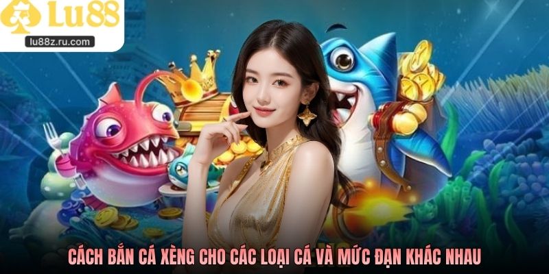 Cách bắn cá xèng cho các loại cá và mức đạn khác nhau