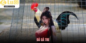 Đá Gà Tre Là Gì? Khám Phá Sức Hút Đặc Biệt Chọi Kê Tại Lu88