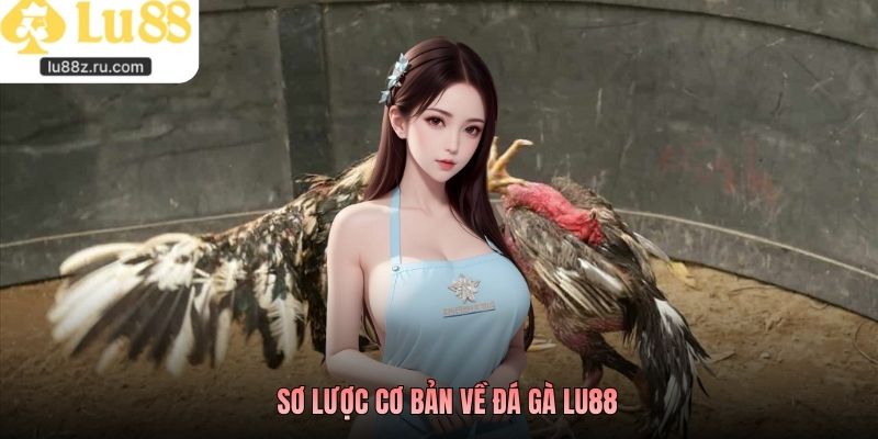 Sơ lược cơ bản về đá gà lu88