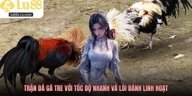 Trận đá gà tre với tốc độ nhanh và lối đánh linh hoạt